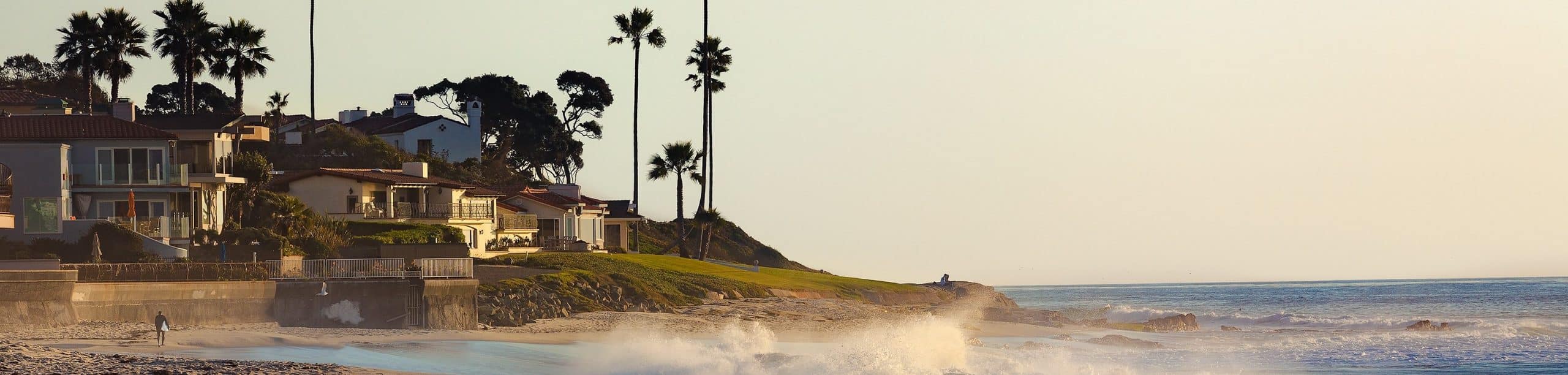 Oceanfront homes and palm trees on the La Jolla coastline